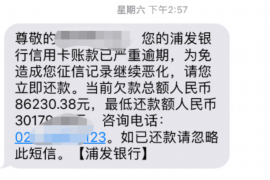 太和遇到恶意拖欠？专业追讨公司帮您解决烦恼